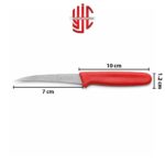 Kiwi Knife Stainless Steel Thaliand Made Fruit Carving Knife Model 001 - Image 2